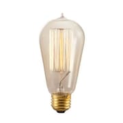 ILC Replacement for Edison 60W Edison Bulb replacement light bulb lamp 60W EDISON BULB EDISON